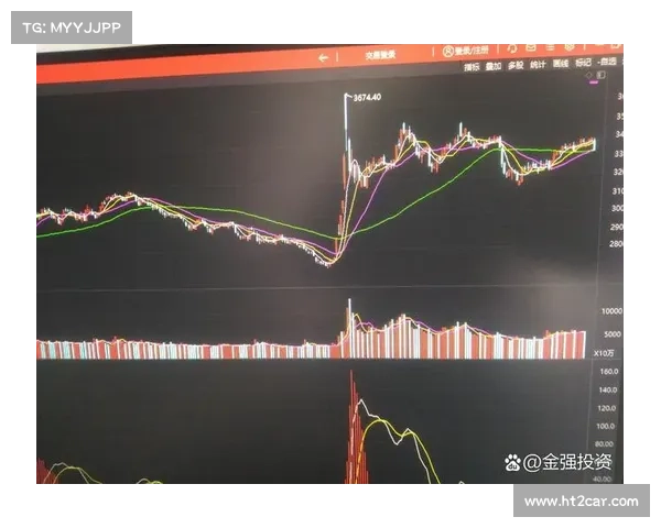 以期尾期为中心的股票市场波动分析及其对投资策略的影响研究 以期尾期为中心的股票市场波动分析及其对投资策略的影响研究